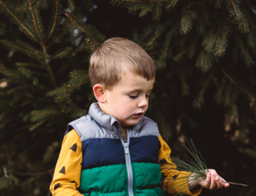 Forest Preschool: An outdoor adventure